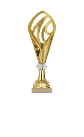 https://bclaguna.ro/wp-content/uploads/2025/07/trofeu3new.png